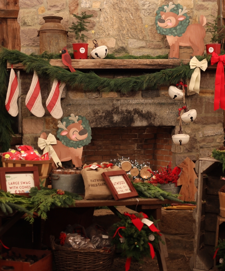 Christmas Fireplace WB