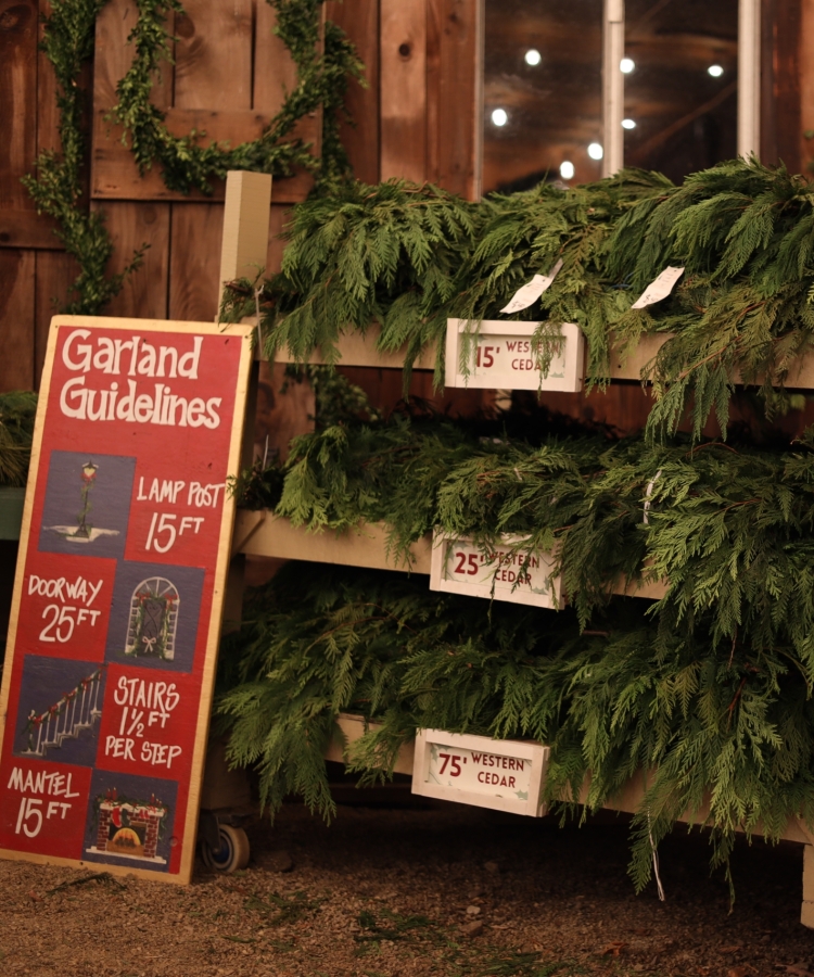 Garland Shelf