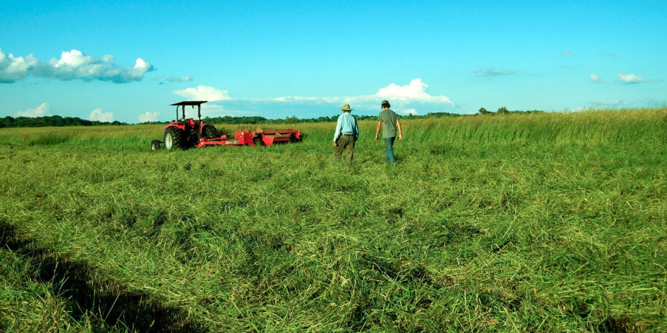 tractor in field in spring