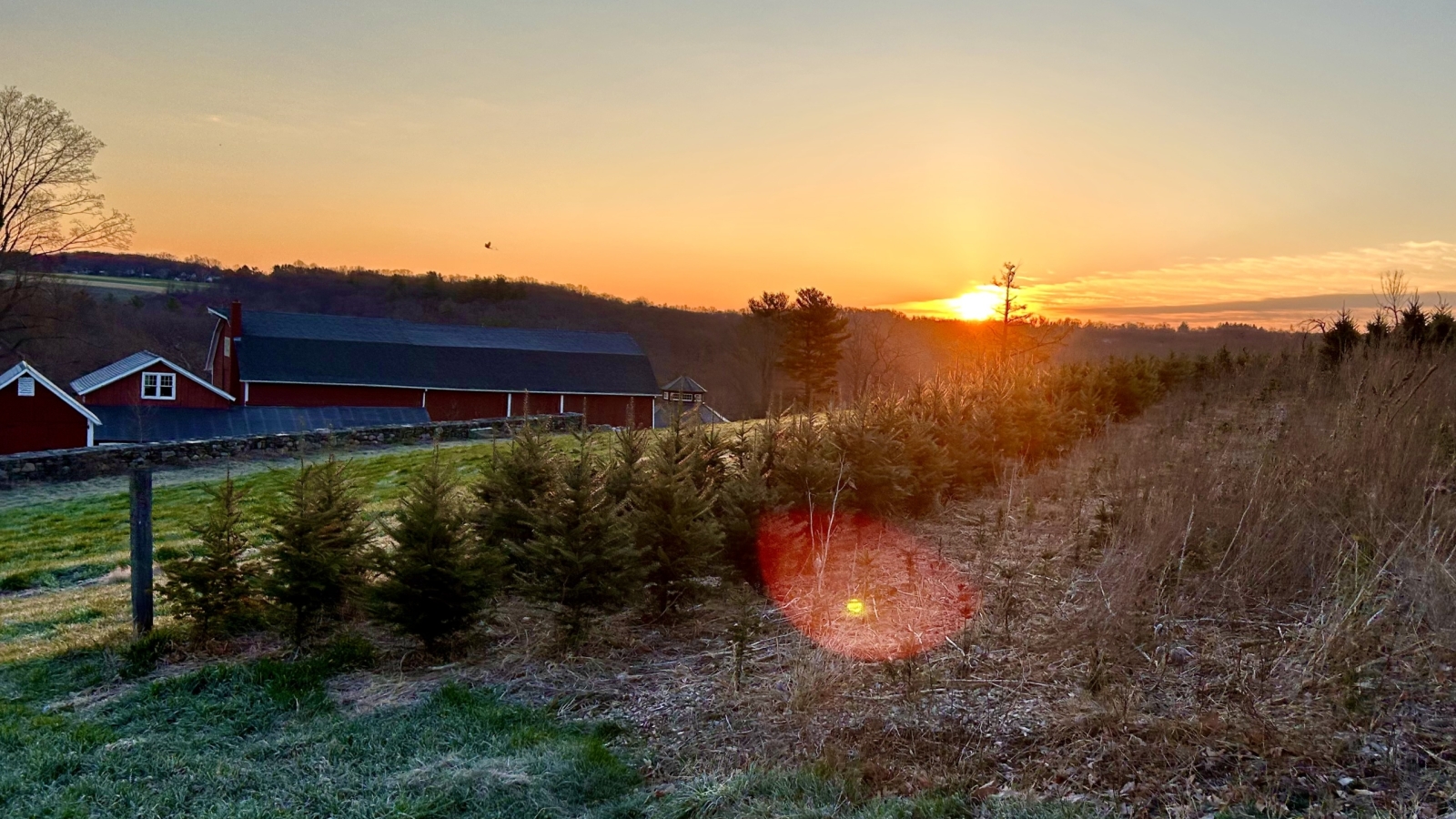 Sunrise at the Farm