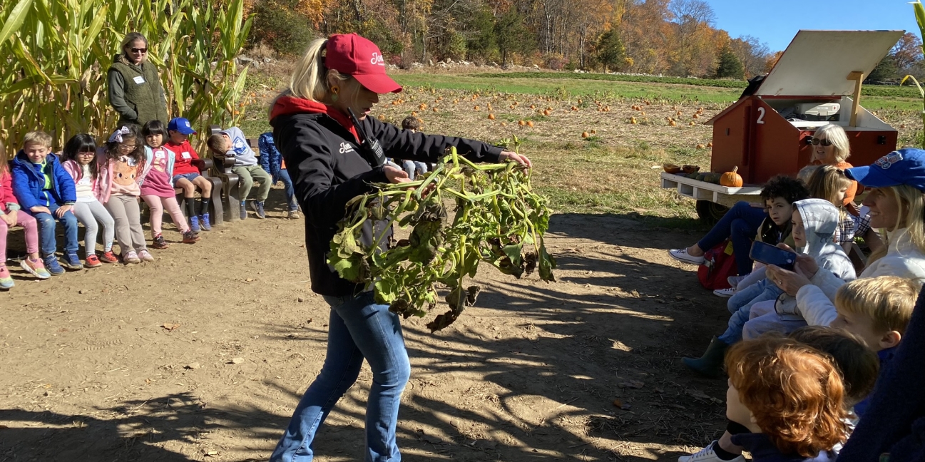 educator showing a pumpkin vine